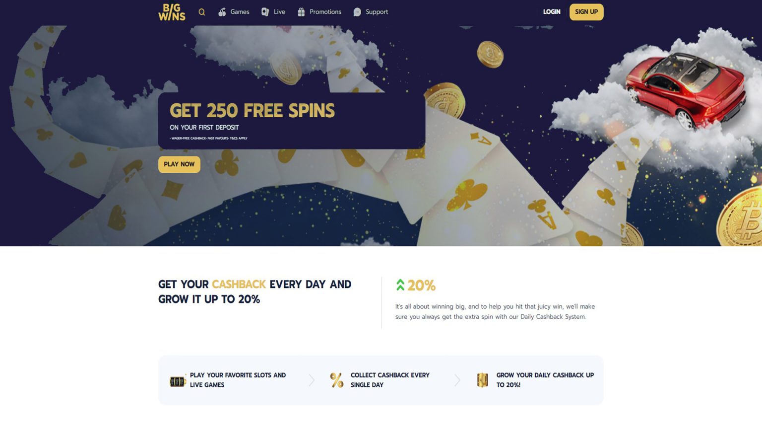 Bigwin Online Casino Testimonial Bigwin Online Casino Testimonial